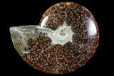 Polished, Agatized Ammonite (Cleoniceras) - Madagascar #88083-1